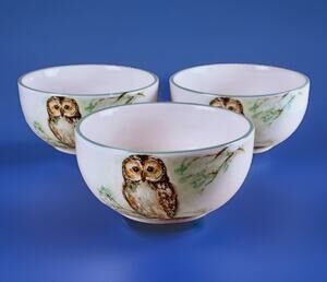 Rare Cracker Barrel Susan Winget Owl Bowls Stoneware Set of 3 Woodland 6" Soup